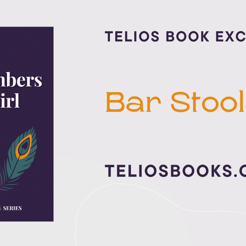 Bar Stool | Numbers Girl By Mary Kamau | Telios Books