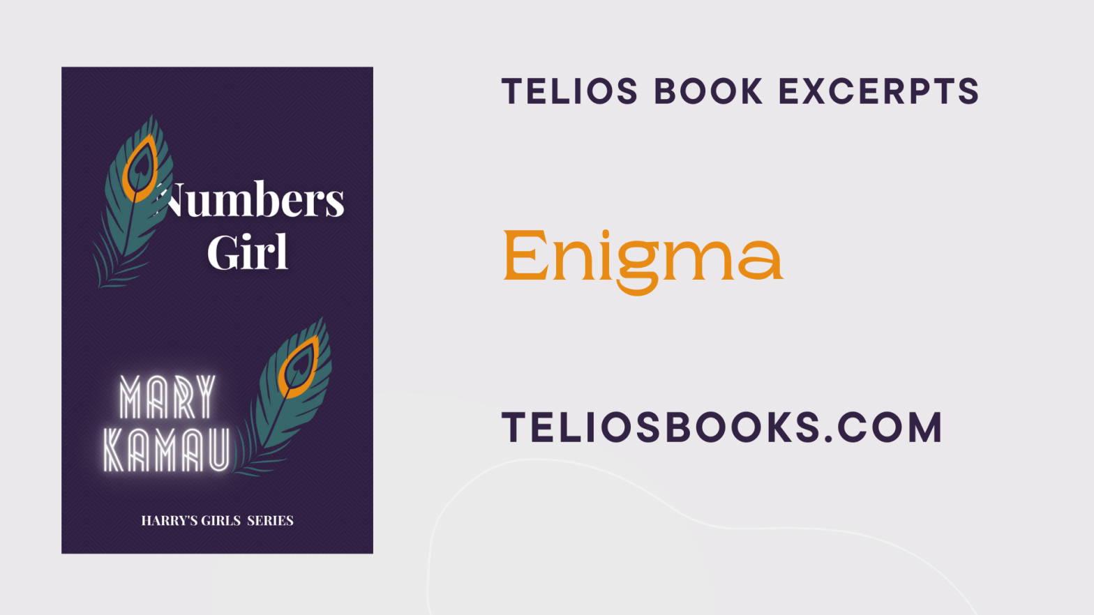 Enigma | Numbers Girl By Mary Kamau | Kenyan Books
